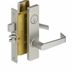 Commercial Mortise Locks